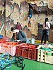 IMG_20241226_121948_272.jpg