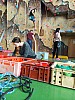 IMG_20241226_121952_717.jpg