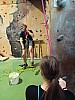 IMG_20241226_151919_173.jpg