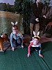 20250414_090503.jpg
