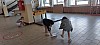 20250619_112631.jpg