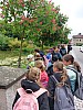 20250529_084628.jpg