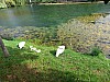 20250529_084701.jpg