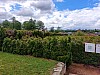 20250529_111627.jpg