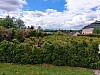 20250529_111733.jpg