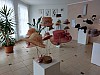 20250529_113038.jpg