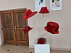 20250529_113043.jpg