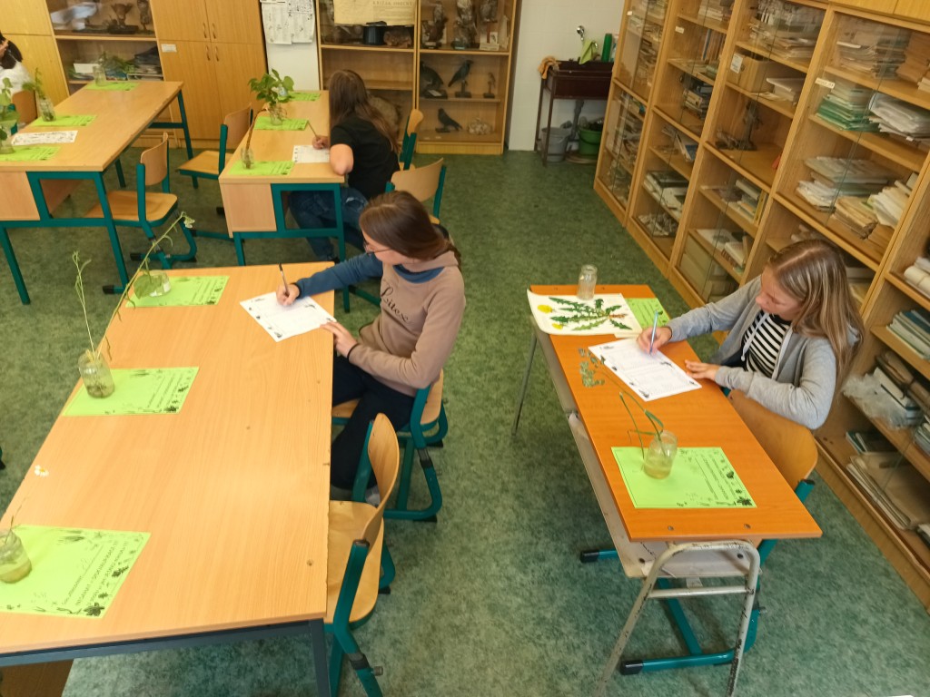 SK.K.-P.P.-52-2..jpg