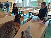 SK.K.-P.P.-52-7..jpg