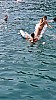 IMG-20250618-WA0003.jpg
