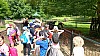 IMG-20250611-WA0005.jpg