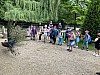 IMG_7287.jpg