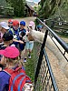 IMG_7291.jpg