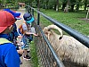 IMG_7304.jpg