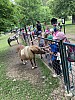 IMG_7312.jpg