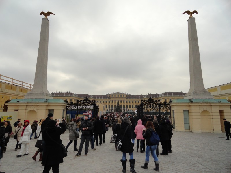 DSC00108.jpg