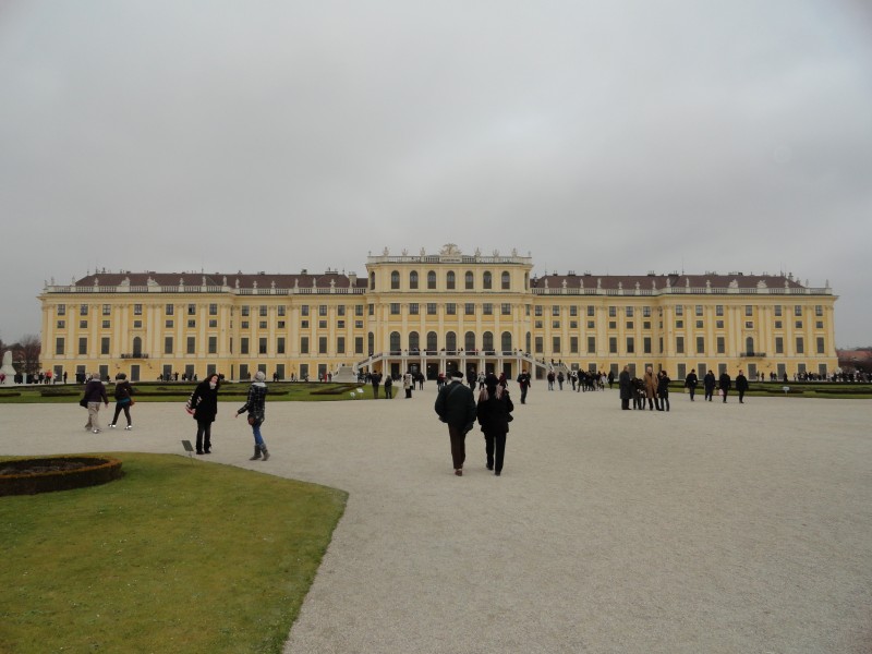 DSC00133.jpg