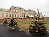 DSC00087.jpg