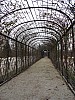 DSC00123.jpg