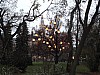 DSC00199.jpg