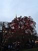 DSC00205.jpg