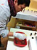 IMG_4430.jpg