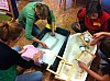 IMG_4463.jpg